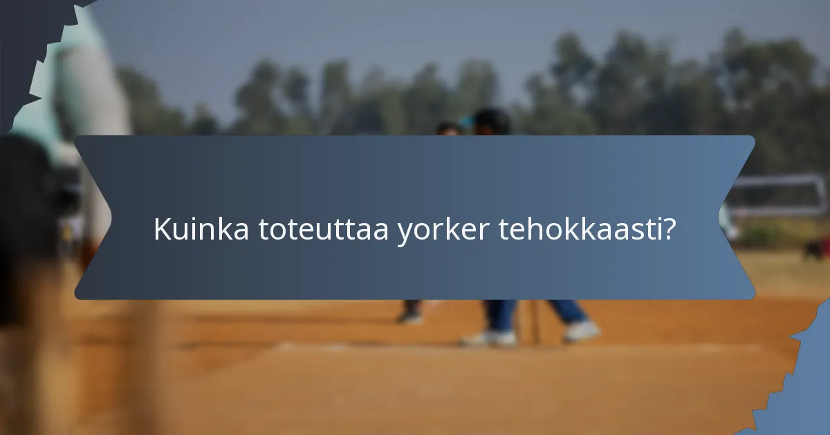 Kuinka toteuttaa yorker tehokkaasti?